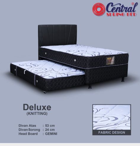 Deluxe Zest 2in1