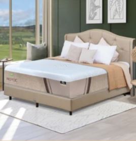Propedic